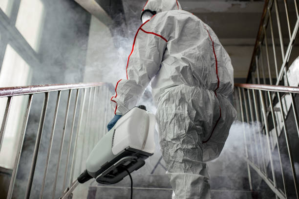 Mold Removal for HVAC Installations